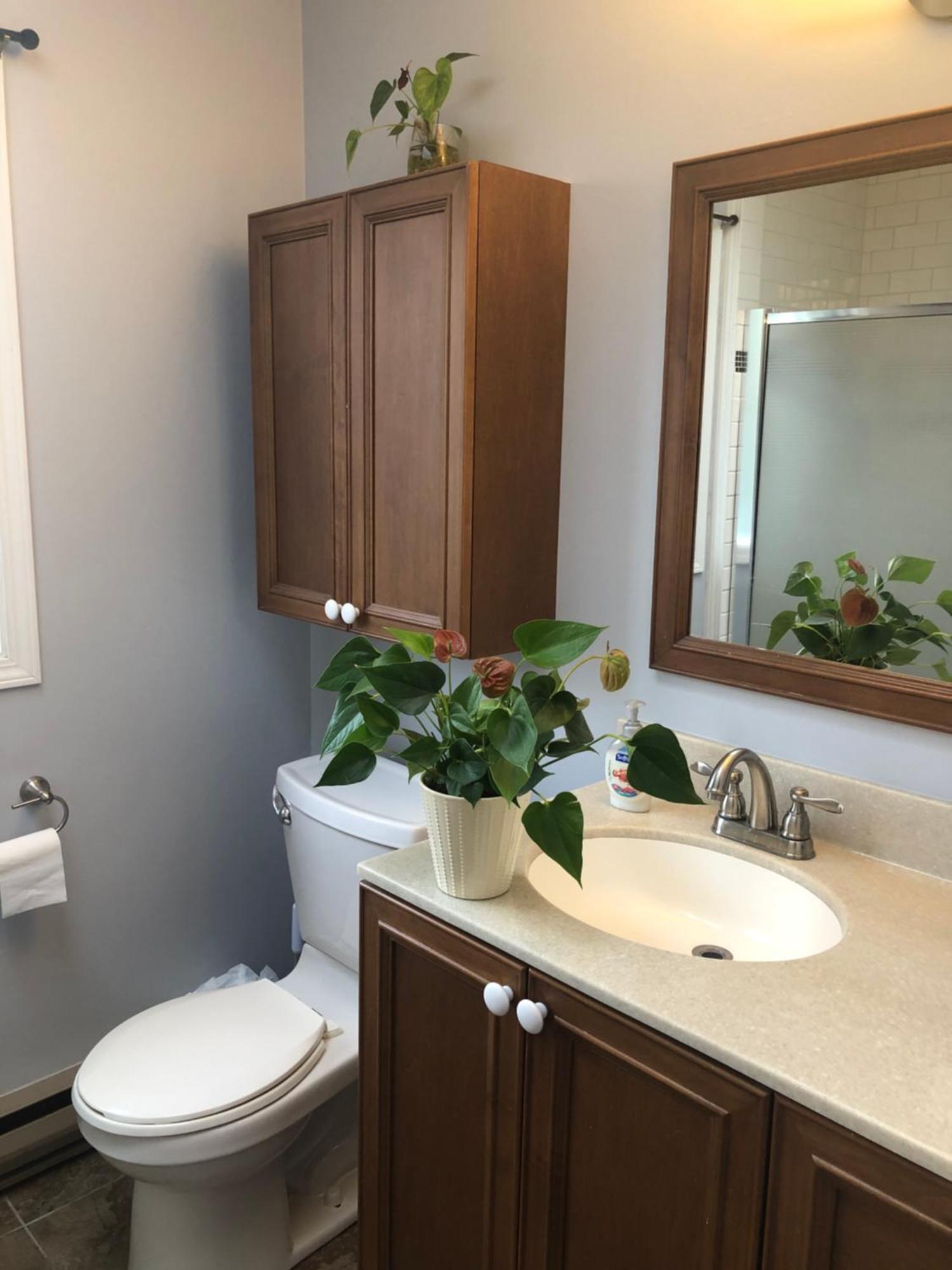 The Sunshine House-Free Parking Bed & Breakfast Vancouver Room photo